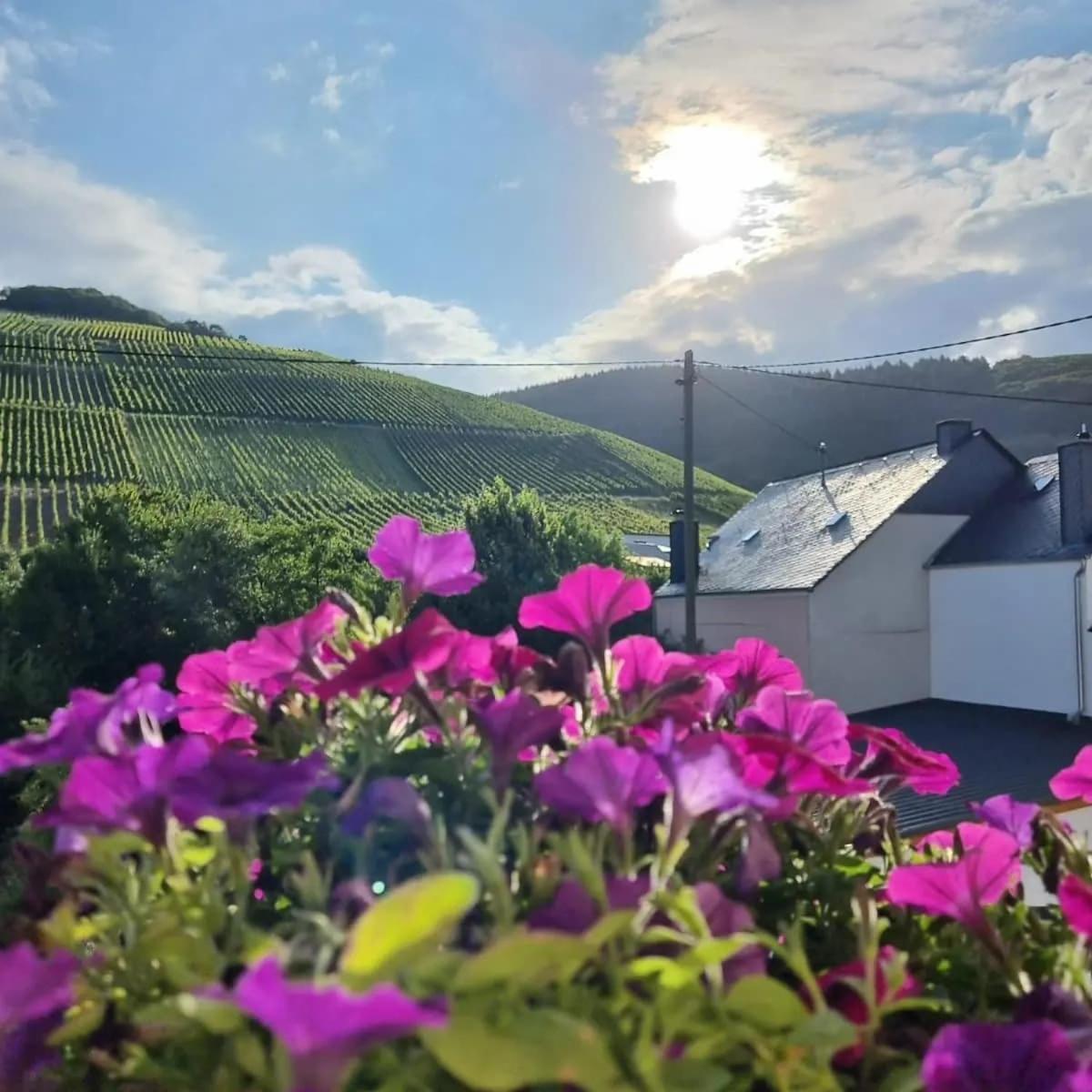Gasthof Zur Grafschaft Veldenz Exteriér fotografie