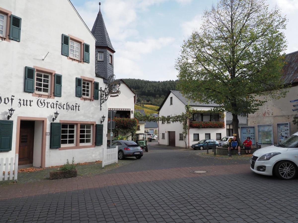 Gasthof Zur Grafschaft Veldenz Exteriér fotografie